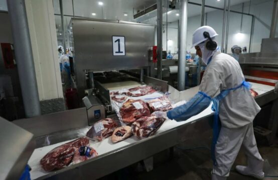 Goiás inicia 2025 com saldo de US$ 183 milhões na balança comercial
