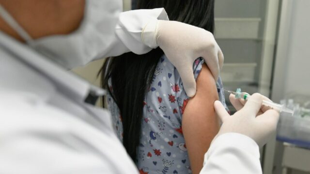 Organização Mundial da Saúde alerta para casos e óbitos por febre amarela no Brasil