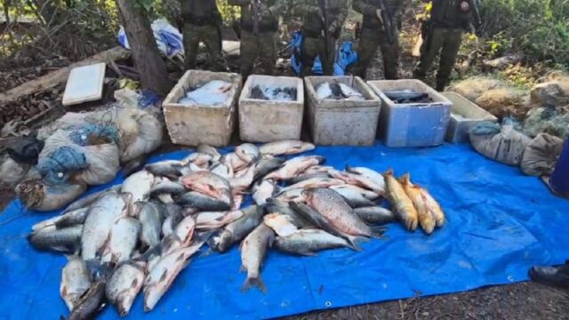 Batalhão Ambiental prende dois homens e apreende mais de uma tonelada de pescado ilegal em Catalão