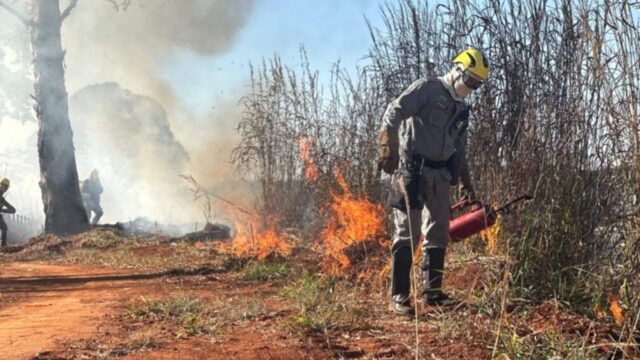 Aberto prazo para solicitar autorização para queima controlada em Goiás