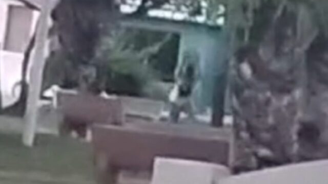 Vídeo registra agressão brutal contra homem de 60 anos em praça de Ipameri