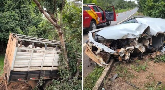 Acidente entre carro e caminhão carregado com gado deixa três mortos na GO-020