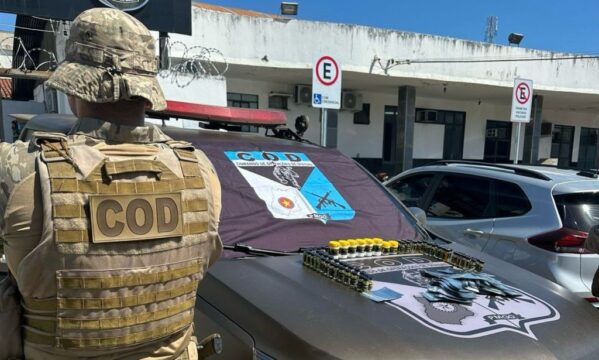 COD apreende grande quantidade de anabolizantes proibidos em Goiás