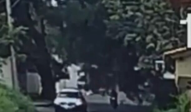 VÍDEO: Motociclista é atingido por árvore de grande porte em Uberlândia