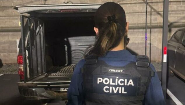 Polícia Civil prende homem investigado por furtar mais de dez residências em Piracanjuba