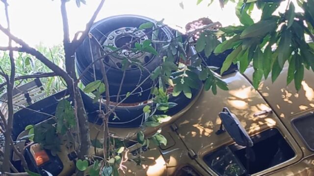 Caminhão carregado com soja tomba na GO-139 entre Caldas Novas e Marzagão