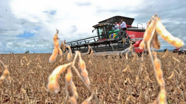 Goiás registra superávit de US$ 222 milhões na Balança Comercial de fevereiro