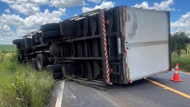 Caminhão tomba ao desviar de animal na MGC-497, em Uberlândia