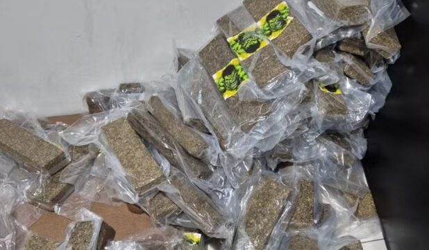 Com adesivo do 'Hulk', quase 400 barras de maconha são apreendidas em Uberlândia