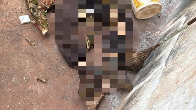 Homem de 38 anos é morto a golpes de porrete na BR-365, em Indianópolis (MG)
