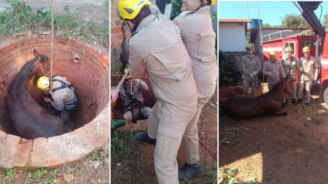 Cavalo cai em fossa de dois metros e é resgatado pelo Corpo de Bombeiros em Ipameri