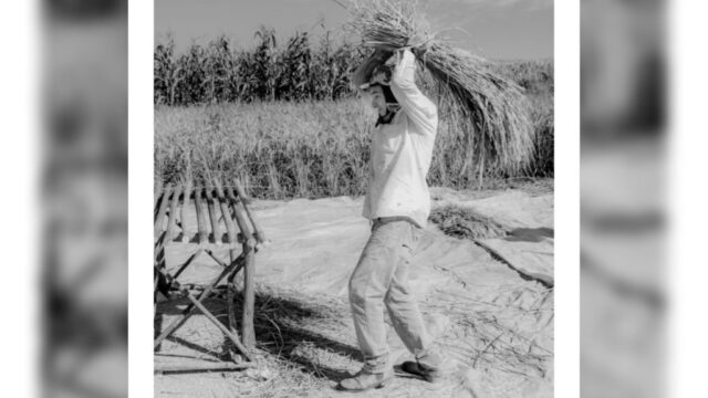 Dia do Trabalhador: Trabalho, resistência e humanidade em imagens – Por Lucas Machado