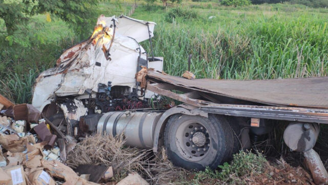 Caminhão carregado de palmito tomba na BR-153 em Morrinhos
