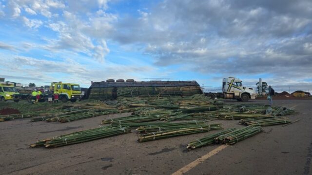 Carreta carregada com bambu tomba em trevo da BR-050 em Catalão
