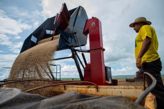 Goiás deve colher safra recorde em 2025