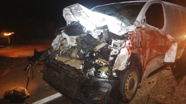 Passageiro fica ferido após furgão colidir com dois cavalos na BR-050, em Catalão