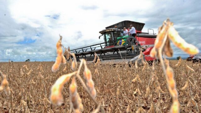 Goiás registra superávit de US$ 848 milhões na balança comercial de março