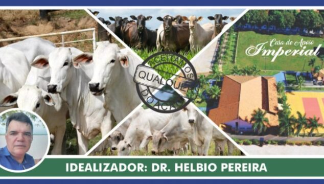 1º Leilão Beneficente em prol da Casa de Apoio Imperial será realizado neste sábado (24), em Catalão