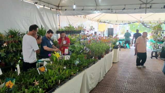 19ª Exposição Nacional de Orquídeas encerra hoje em Catalão com sucesso de público e vendas