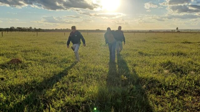 Foragido do Ceará de alta periculosidade é preso durante ação conjunta da PRF e CPE na BR-050, em Catalão