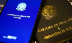 Confira as 241 oportunidades de emprego oferecida pela SETRAER nesta terça-feira (11) Confira as 241 oportunidades de emprego oferecida pela SETRAER nesta terça-feira (11)