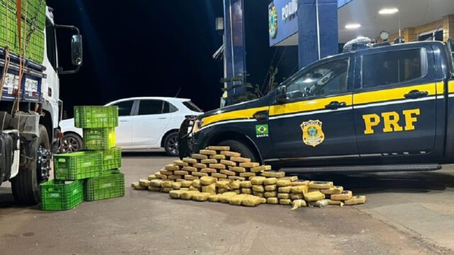 PRF apreende mais de 100 kg de skunk (supermaconha) escondidos em caminhão na BR-364, em Jataí