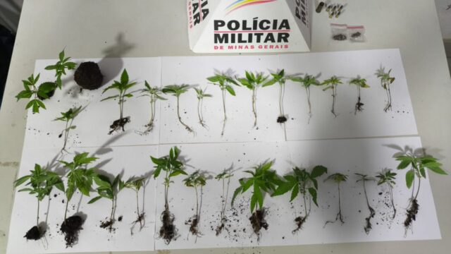 Homem é preso por tráfico de drogas e porte ilegal de munição no bairro São Sebastião, em Araguari