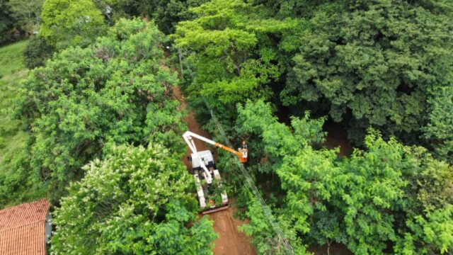 Plano de reconstrução do sistema elétrico: Equatorial Goiás realiza milhares de correções e podas