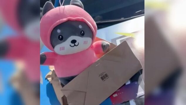Mulher é presa por comprar chocolates e pelúcias com cartão que achou na rua, em Caldas Novas