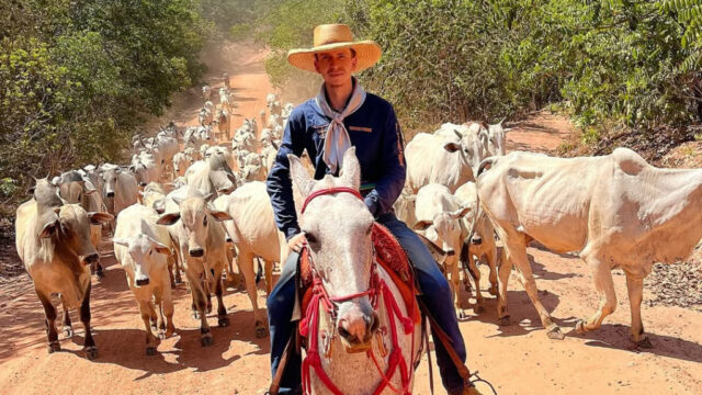 Jovem morre ao cair do cavalo enquanto ia para cavalgada em Catalão