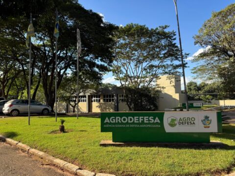 Agrodefesa confirma primeiro caso de gripe aviária em aves de subsistência em Goiás