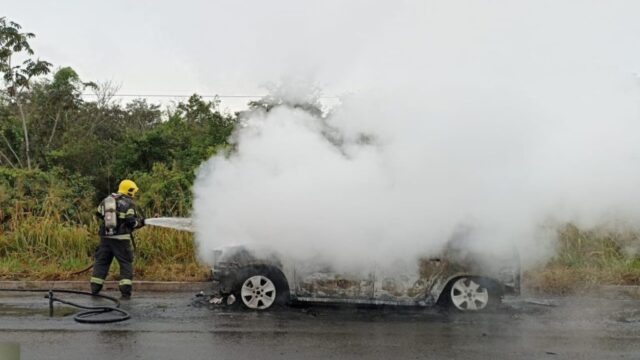 Carro é destruído por incêndio às margens da GO-330, em Ipameri