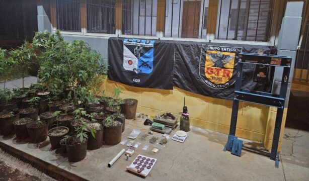 Araguari: Foragido da Justiça é preso durante operação integrada entre PMGO e PMMG