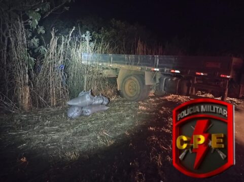 CPE prende quatro suspeitos por furto de 1,2 tonelada de café em Campo Alegre de Goiás