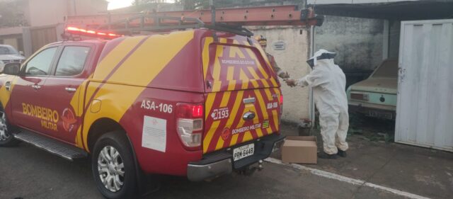 Enxame de abelhas deixa feridos e mobiliza Bombeiros no Centro de Catalão