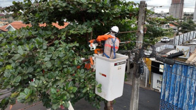 Equatorial Goiás realiza mais de 200 mil podas preventivas em 2025