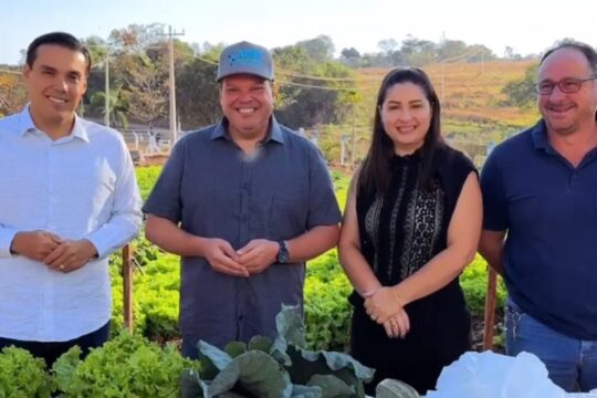 Viveiro Municipal é revitalizado e passa a fornecer verduras para programas sociais em Corumbaíba