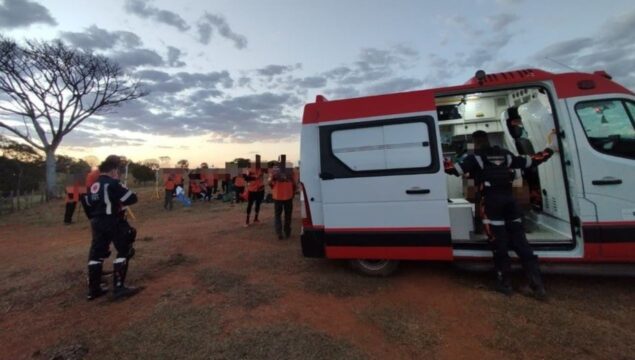 Ataque de abelhas deixa dezenas de participantes do retiro cristão Legendários ferroados em Caldas Novas; dez precisaram de atendimento médico