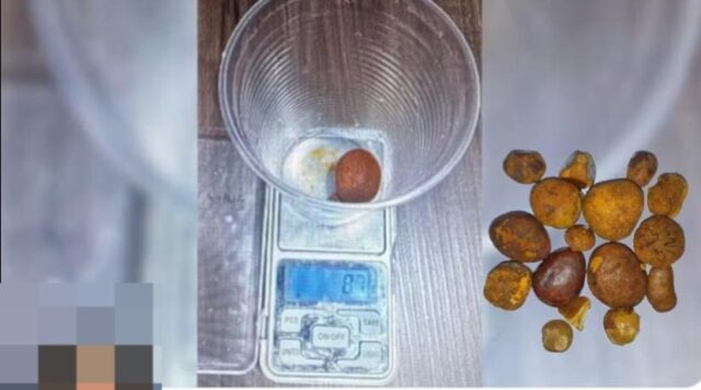 Funcionário de frigorífico é preso em Araguari por furtar pedras de cálculo biliar bovino avaliadas em até R$ 78 mil