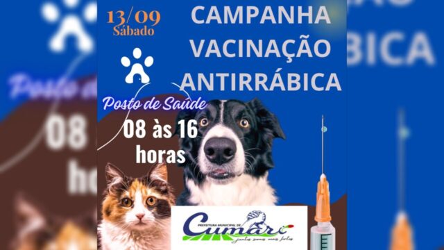 Campanha de vacinação antirrábica acontece neste sábado, (13) em Cumari