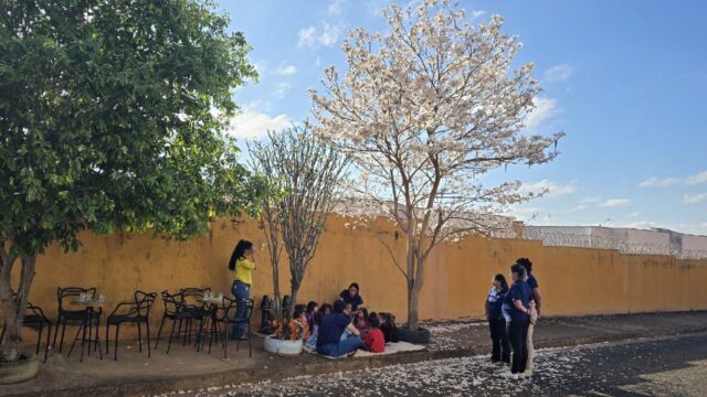 Crianças do CEMEI Henriqueta Purcina participam de café especial oferecido pela Casa RB Café no bairro Maria Amélia I sob a sombra de um ipê florido