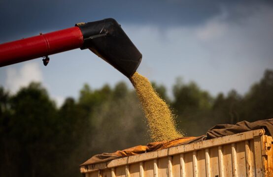 Economia goiana é a que mais cresce no país em julho