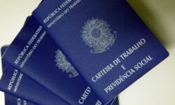 Sine Catalão divulga 267 vagas de emprego nesta sexta-feira (17) Sine Catalão divulga 267 vagas de emprego nesta sexta-feira (17)