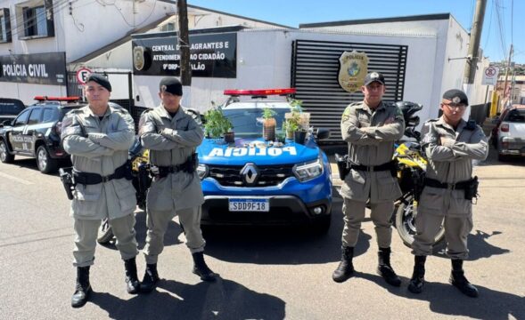 Tático Motos prende homem por tráfico de drogas em Catalão; seis pés de maconha são apreendidos