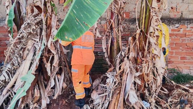 Corpo em decomposição é encontrado em terreno baldio no bairro Carajás, em Uberlândia