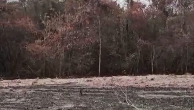 Batalhão Ambiental da PM flagra desmatamento ilegal em Cristianópolis e apreende escavadeira