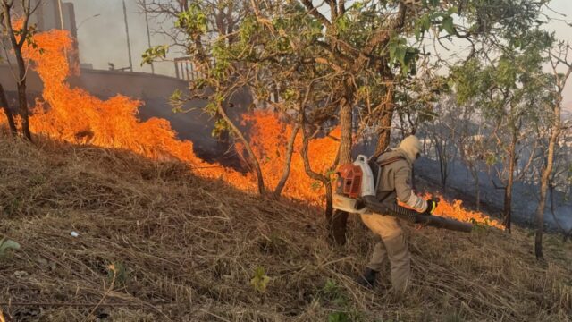Corpo de Bombeiros age rápido e combate incêndio em área de vegetação no Morrinho de São João, em Catalão