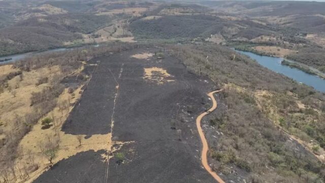 Incêndio atinge zona de amortecimento do Parque Estadual do Pau Furado em Uberlândia