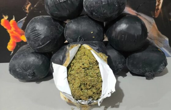 Polícia Militar apreende drogas em ônibus vindo da Bahia pelo segundo dia seguido em Uberlândia