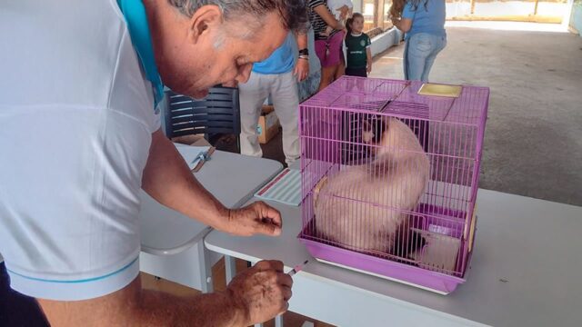Dia D de Vacinação Antirrábica imuniza 400 animais em Três Ranchos